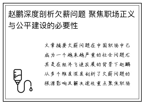 赵鹏深度剖析欠薪问题 聚焦职场正义与公平建设的必要性
